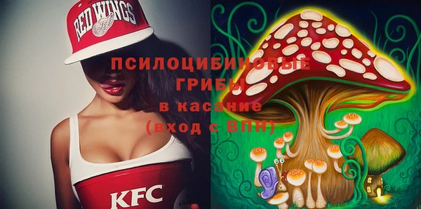 прущие крисы Краснотурьинск