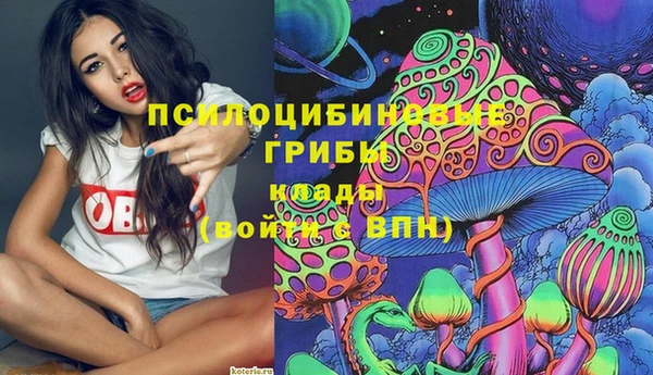 прущие крисы Краснотурьинск