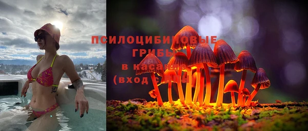 кристаллы Краснослободск