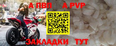 стаф Донецк