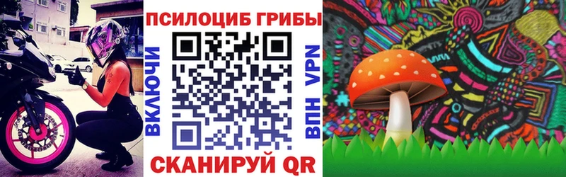 Псилоцибиновые грибы Psilocybe  Керчь 
