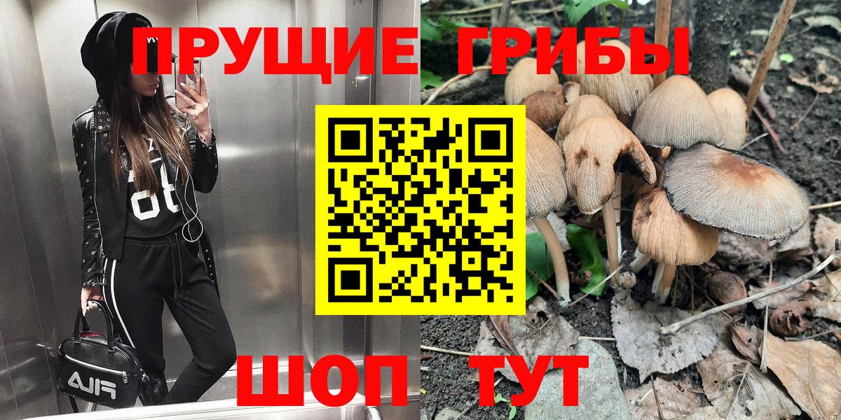 Керчь  Галлюциногенные грибы GOLDEN TEACHER  Псилоцибиновые грибы мухоморы  Вход с VPN 